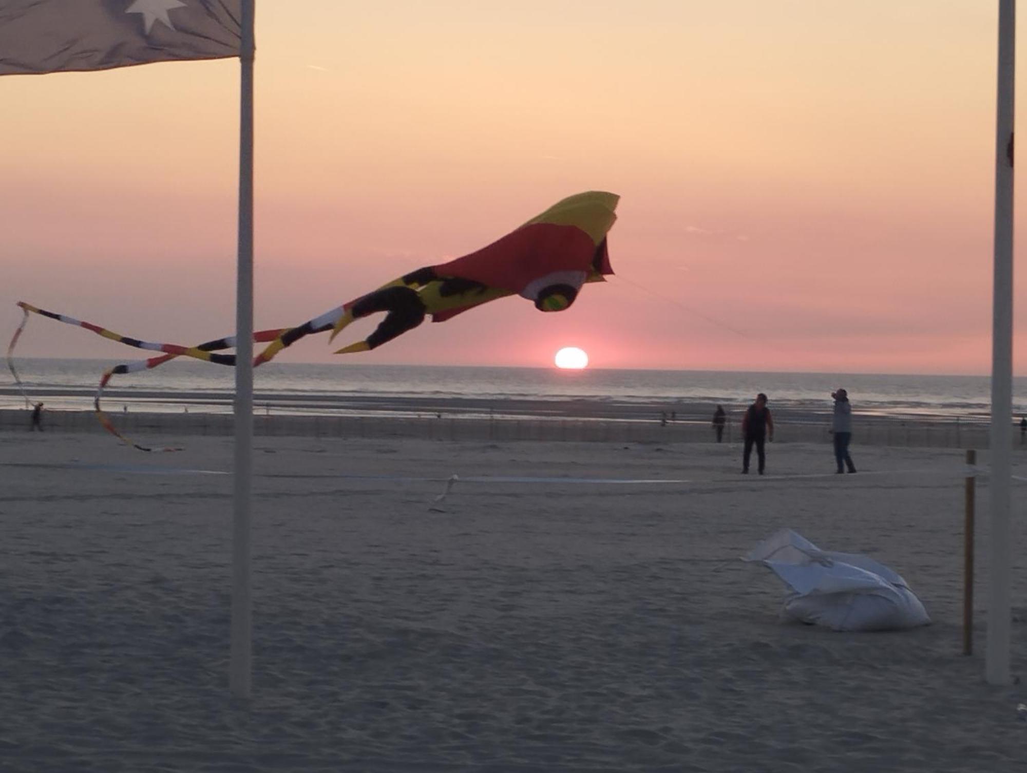 L'Alteia - L'Appartement Les Pieds Dans L'Eau Avec Place De Parking Prive Et Acces Direct A La Plage Berck Eksteriør billede