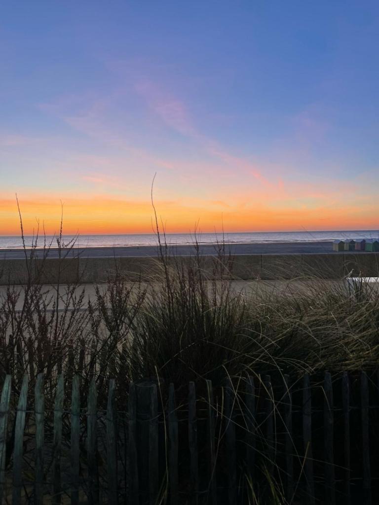 L'Alteia - L'Appartement Les Pieds Dans L'Eau Avec Place De Parking Prive Et Acces Direct A La Plage Berck Eksteriør billede