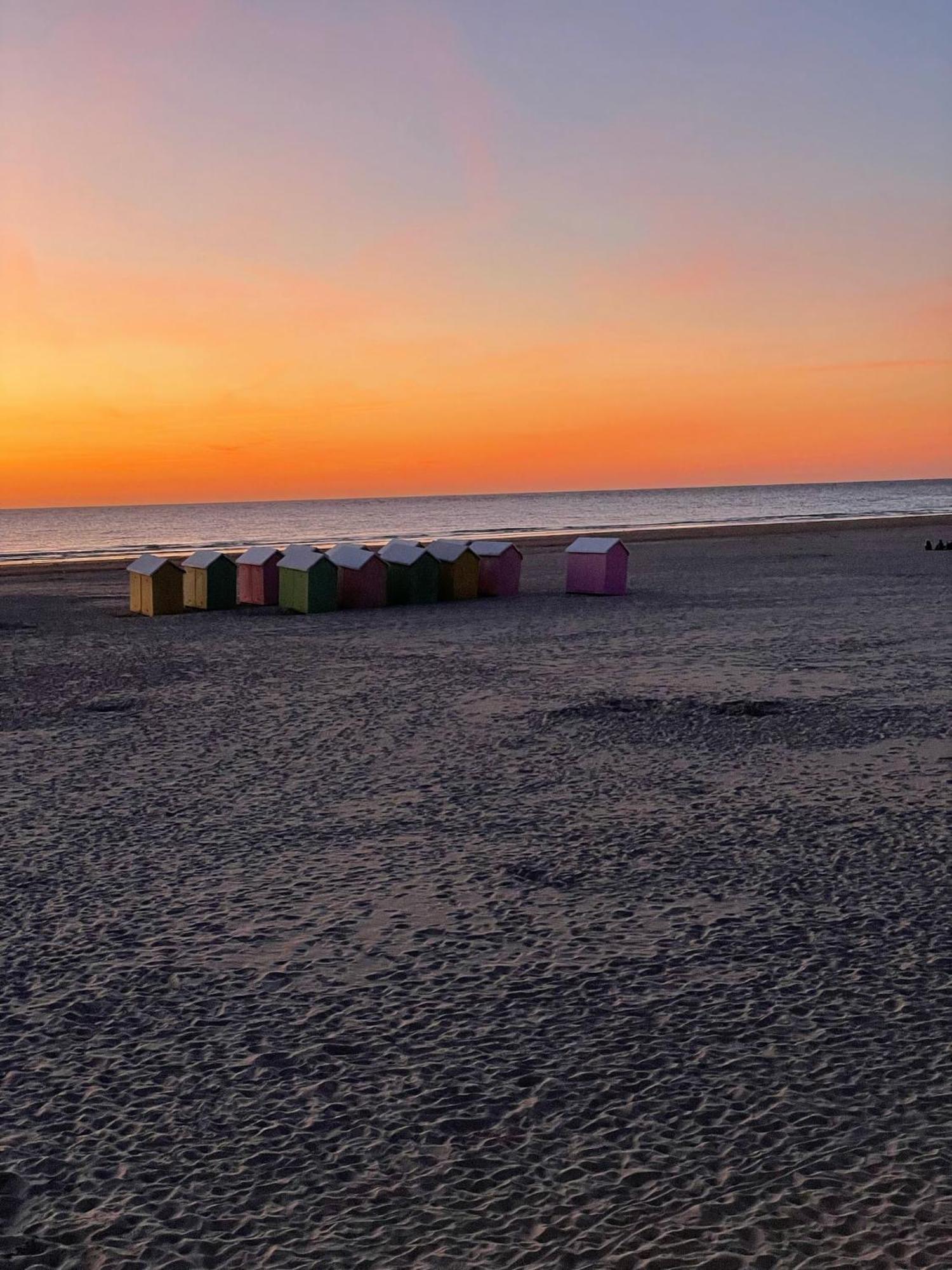 L'Alteia - L'Appartement Les Pieds Dans L'Eau Avec Place De Parking Prive Et Acces Direct A La Plage Berck Eksteriør billede
