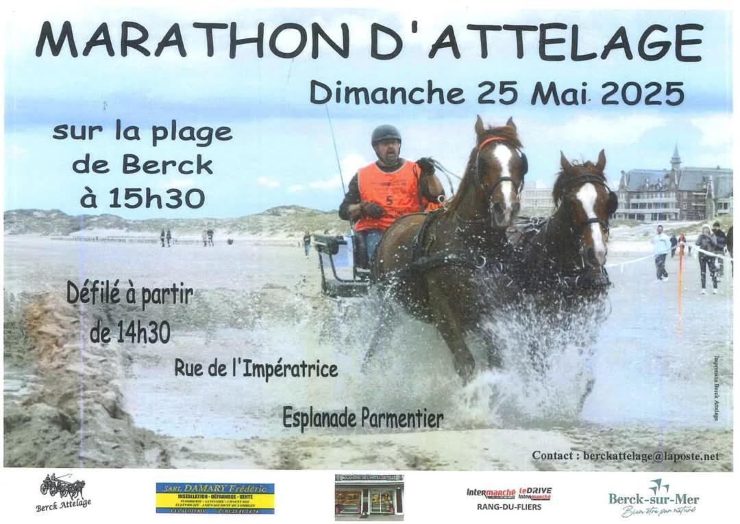 L'Alteia - L'Appartement Les Pieds Dans L'Eau Avec Place De Parking Prive Et Acces Direct A La Plage Berck Eksteriør billede